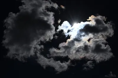 DSC_2279 (Large).JPG